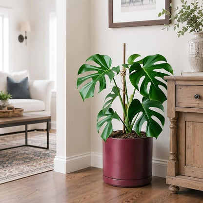 D'vine Dev 10 Inch Ceramic Planter Pot, Cordovan, 94-O-E-4 | Modern Cylinder Design, Drainage Hole & Saucer Included, Stable Structure, Elegant Home Accent