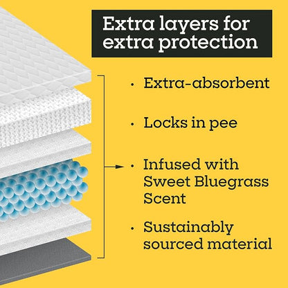 Pet Life Unlimited Heavy Duty 3XL Puppy Pads for Dogs, Potty Training Pee Pads, 26 Count, 36" x 36", Leak-Proof, Super Absorbent, Quick-Dry, Odor Control Clover Leaf Scent, Made in USA
