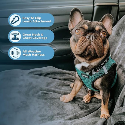 Best Pet Supplies Voyager Step-in Air Harness - All Weather Mesh, Reflective, No Pull Harness for Dogs, Cats - Secure with Hook & Loop Fastener, Buckle, Double D-Rings - Tone, L