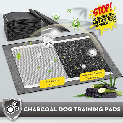CROCI Charcoal Pee Pads for Dogs Odor Control Leak Proof 23x24in 100Ct | Super Absorbent Dog Pee Pads with Adhesive Tabs, Heavy Duty, Dog Potty Training, Quick-Dry Surface, Disposable