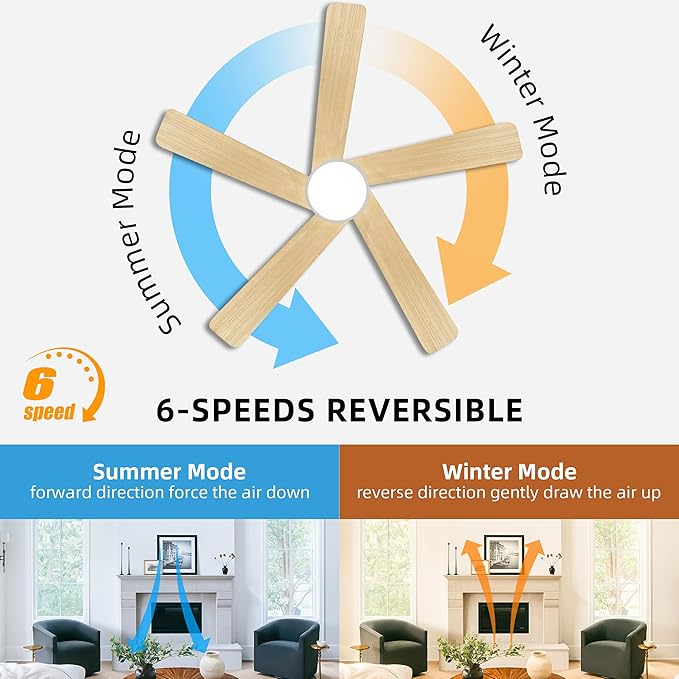 WINGBO 48 Inch DC Ceiling Fan