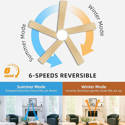 WINGBO 48 Inch DC Ceiling Fan