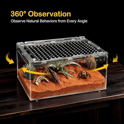 Small Reptile Terrarium Kit,Escape Proof Tarantula Enclosure,PC Starter Hermit Crab Tank,Spider Habitat for Praying Mantis Cage,Frog Vivarium,Insect House,Jumping Spider Cribs,Lizard Container