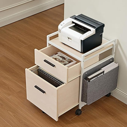 EUREKA ERGONOMIC 2-Drawer Mobile File Cabinet