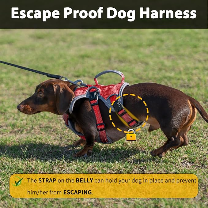 Escape Proof Dog Harness, Dachshund Harness, Reflective Dog Harness with Handle, Durable,Adjustable Vest for Small Medium Large Dogs Walking, Training, and Running Gear (Red,S)