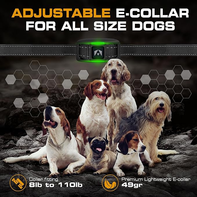 INVIROX 2026 Edition Dog Training Collar, 123 Levels