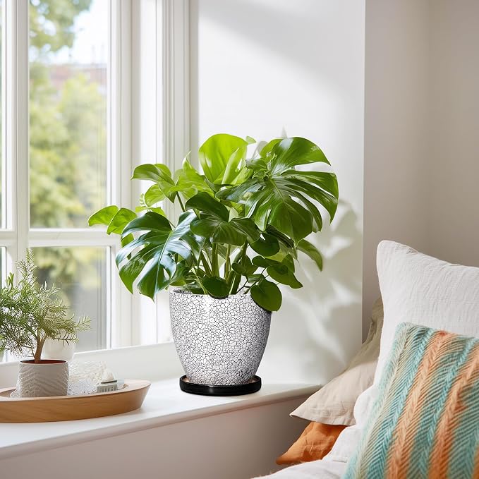 Ceramic Plant Pots - 6 Inch Planters for Indoor Outdoor Plants, Round Plant Pot with Drainage Hole and Saucer, Ceramic Succulent Pots, Desk House Decor, Gardening Gifts for Women, White-Black