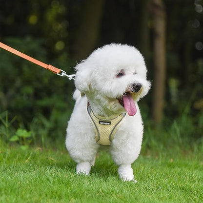 AIITLE Comfortable Dog Harness and Leash Set for Walking - Summer Step in Vest Harness,Reflective Bands, Adjustable No Pull Puppy Essentials, for Small Dogs and House Cats Beige XS