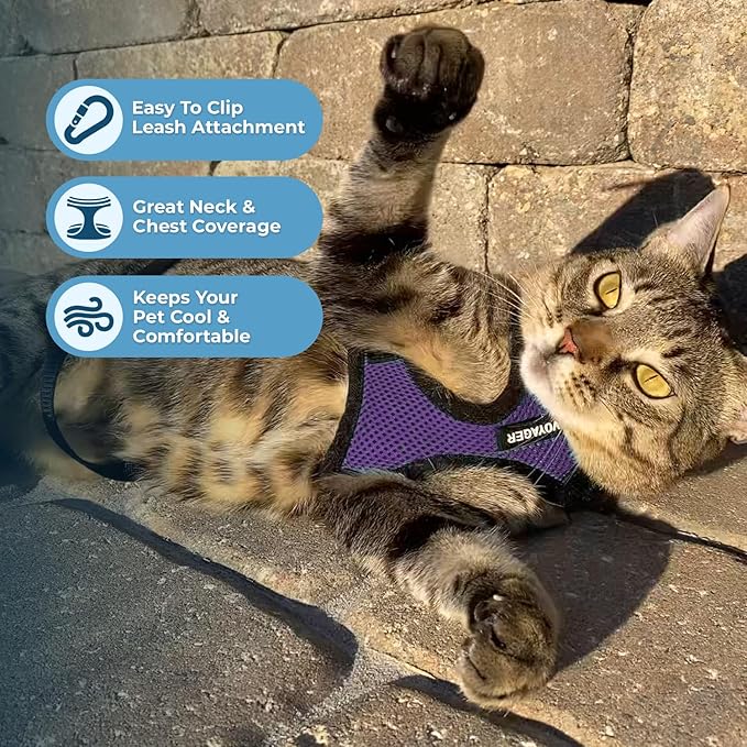 Voyager Step-in Lock Adjustable Cat Harness w. Cat Leash Combo Set with Neoprene Handle 5ft - Supports Small, Medium and Large Breed Cats by Best Pet Supplies - Purple/Black Trim, XXXS