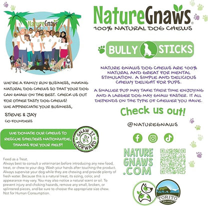 Nature Gnaws Braided Bully Sticks for Dogs 5-6" (10 Count) - Long Lasting for Small and Medium Dogs - Natural Beef Dog Chew Bones - Rawhide Free