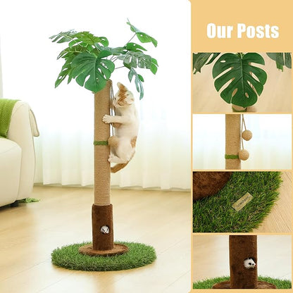 Cat Scratching Post for Indoor Cats and Kitten - 35.43" Tall Cat Scratching Post with Sisal Rope,Palm Tree Cat Scratch Post with Hanging Ball