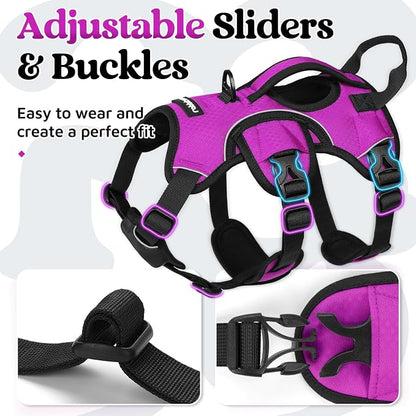rabbitgoo Escape Proof Dog Harness for Small, No Pull with Lift Handle | No Escape, Full Soft Padded, Reflective Adjustable Vest, Leash Clip for Walking Hiking Training, Purple, Small