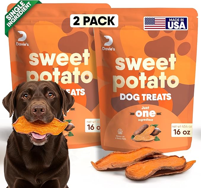 Davie's Sweet Potato Dog Treats - Healthy, Natural, Low Fat Chews Made in USA - 1 lb Bag, Pack of 2