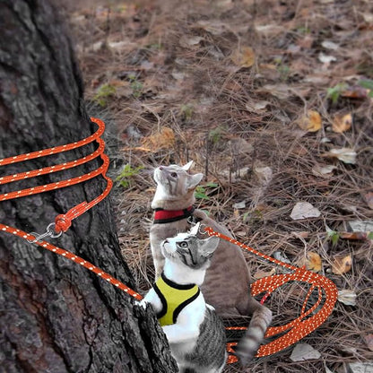 Rypet Reflective Cat Long Leash - 15 FT Escape Proof Walking Leads Yard Long Leash Durable Safe Personalized Extender Leashes Traning Play Outdoor for Kitten, Puppy, Rabbit and Small Animals