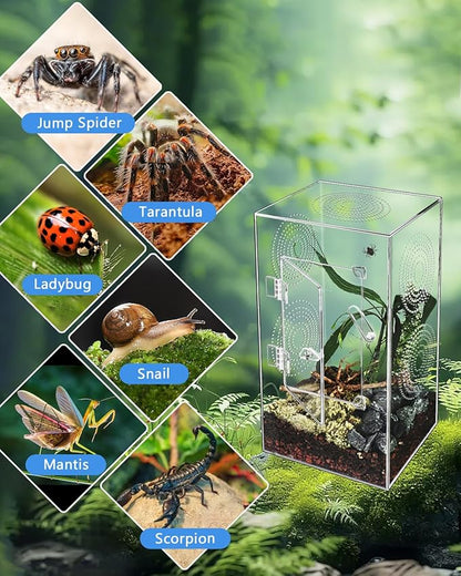 Jumping Spider Enclosure - 11.7x6x6 Inch Large Acrylic Terrarium for Tarantulas - Reptile Tank With Front Opening Door - Habitat Accessories