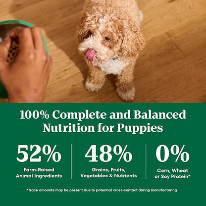 Nutro Natural Choice Chicken & Brown Rice Puppy Food Dry Recipe, 5 lb. Bag