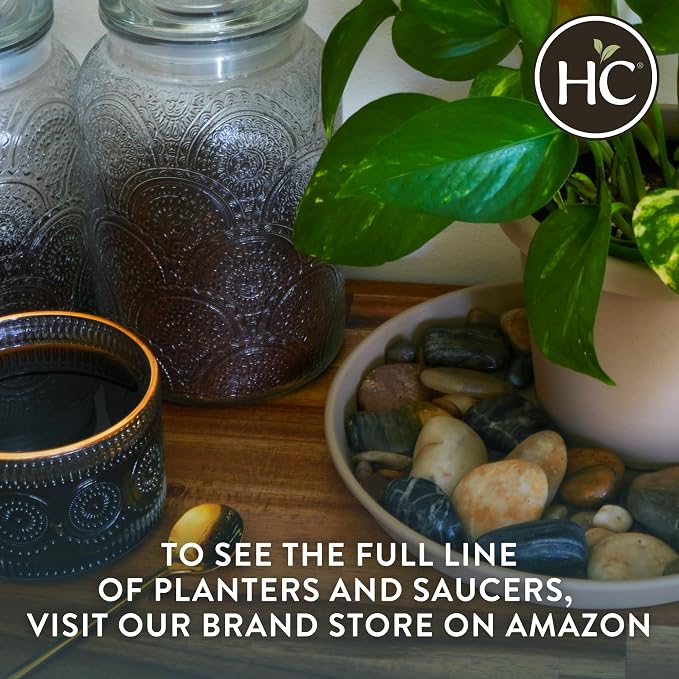 The HC Companies Prima Round Plastic Plant Pot w/Rolled Rim - Lightweight & UV Resistant Flower Pot for Herbs & More - Outdoor & Indoor Plant Pots w/Drainage (20 inch, Warm Gray, Pack of 1)