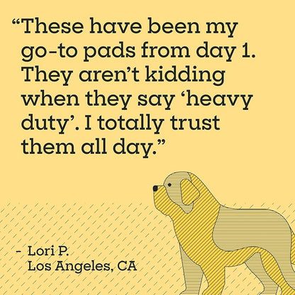 Pet Life Unlimited Heavy Duty 3XL Puppy Pads for Dogs, Potty Training Pee Pads, 52 Count, 36" x 36", Leak-Proof, Super Absorbent, Quick-Dry, Odor Control Clover Leaf Scent, Made in USA