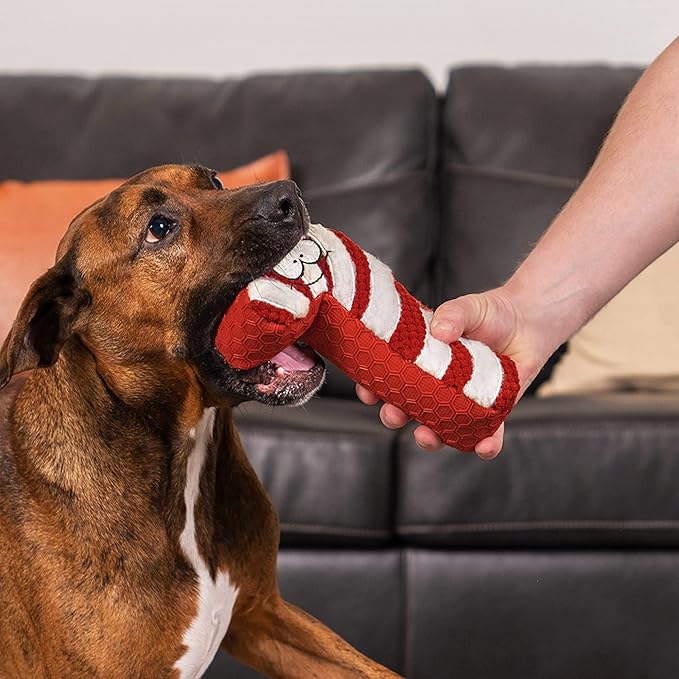 goDog Holiday Collection Mixed Materials TPE-Plush Candy Cane Squeaky Dog Toy, Chew Guard Technology - Red/White, One Size