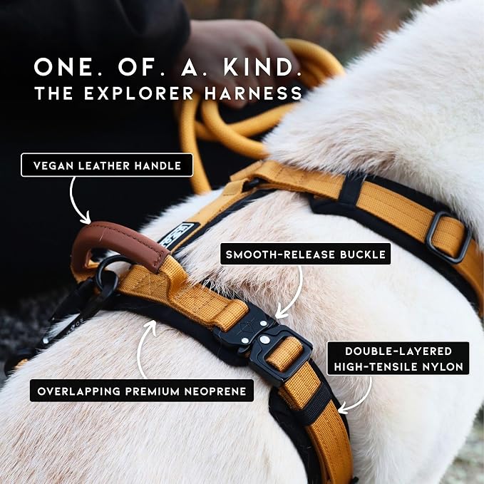 MADE TO ROAM Premium Explorer Harness - Y-Shaped Dog Harness with Adjustable Durable Nylon, Soft Padding, Metal Buckles and Leather Handle for Small, Medium, Large Dogs (Arizona Heartbeat, Size 3)