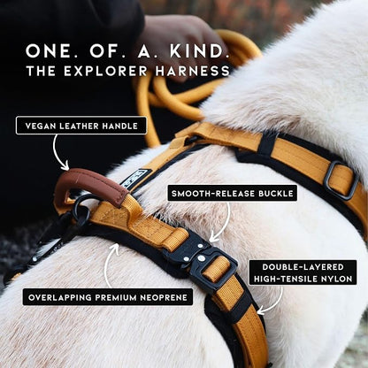 MADE TO ROAM Premium Explorer Harness - Y-Shaped Dog Harness with Adjustable Durable Nylon, Soft Padding, Metal Buckles and Leather Handle for Small, Medium, Large Dogs (Arizona Heartbeat, Size 3)