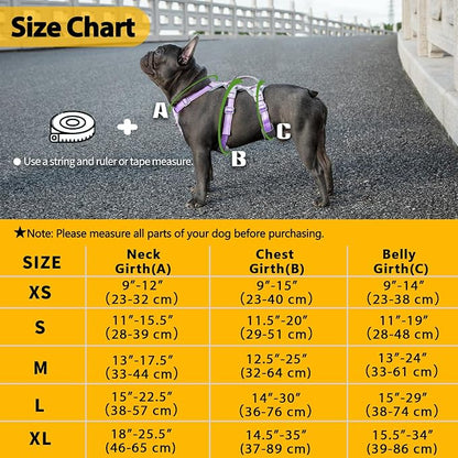 Escape Proof Dog Harness,Secure Dog Harness No Escape,Fully Reflective Harness with Handle,Breathable,Durable,Adjustable Vest for Small Dogs Walking,Training & Running Gear(Lavender Purple,XS)