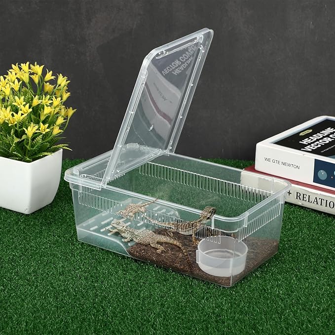 Irenare 8 Pcs Reptile Breeding Box Plastic Spider Terrarium Tarantula Feeding Box for Bearded Dragon Lizard Spider Gecko Scorpion (Vent Strips,Clear,8.6 x 5.1 x 3.1 Inch)