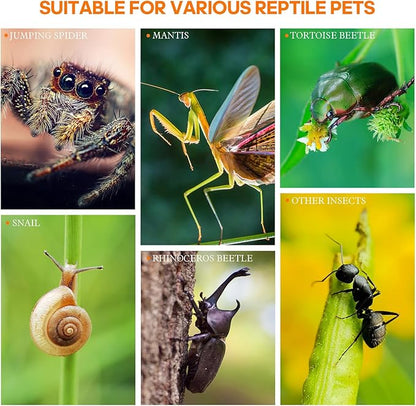 Jumping Spider Enclosure, Small Acrylic Spider Terrarium, Tarantula Spider Box, Magnetic Front & Top Opening, Bug Habitat for Jumping Spiders, Tarantulas, Praying Mantis, Snails