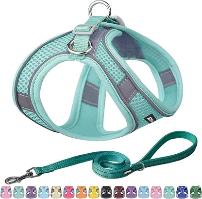 AIITLE Escape Proof Dog Harness - Step in Adjustable Dog Harness No Choke Over with Quick-Release Buckle for Summer- Outdoor Walking, Camping, Training for Medium Dogs Pure Turquoise XL