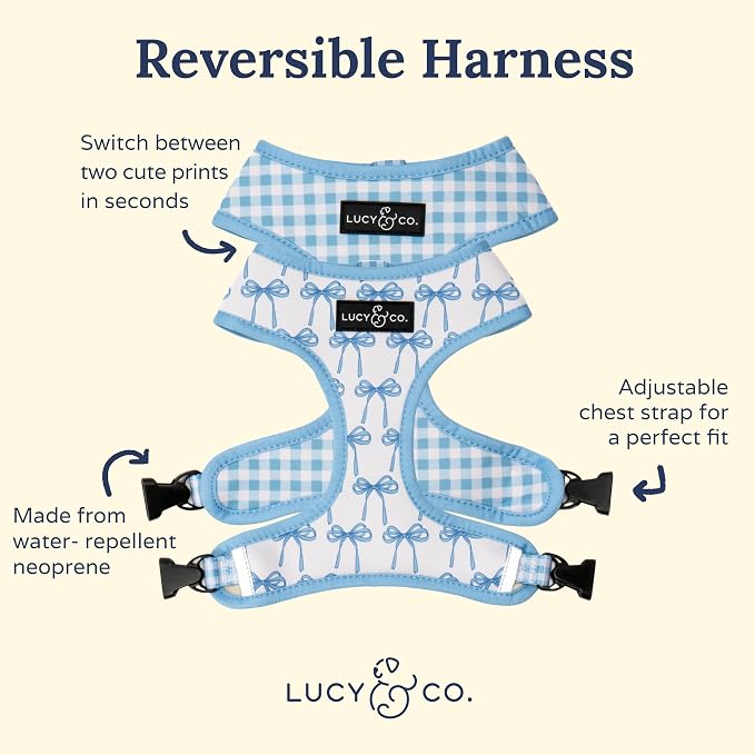 Lucy & Co. Cute Reversible Dog Harness Walking Halter - Best Designer Pet Harnesses for XS - XL Dogs - Padded Adjustable Vest for Easy Walking (Large, Purple Green Floral Checker)