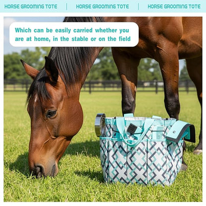 Abbylike 12 Piece Horse Grooming Kit with Organizer Tote Bag Brush Sets for Derby Day Show Horses Professional Tools for Care & Massage(Mint Green and Grey)