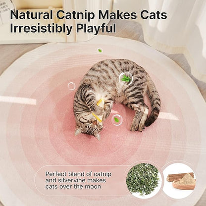 Potaroma Loofah Cat Chew Toys with Catnip and Silvervine, 3PCS Interactive Kitten Loofa Dental Teething and Biting Catnip Toys for Cat's Dental Cleaning, 3.2 Inches