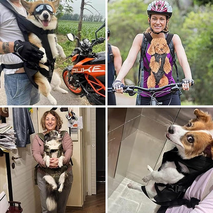 PetBonus Pet Front Dog Carrier Backpacks, Adjustable Pet Backpack, Legs Out Easy-fit Puppy Chest Carrier for Medium Small Dogs, Hands Free for Hiking, Cycling (Army Green, L) | Hands Free, Adjustable, Safety Strap, Walking Hiking Cycling Motorcycle bag...