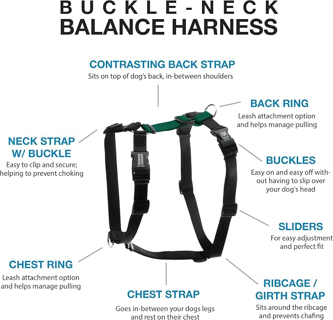 Blue-9 Buckle-Neck Balance Harness, Fully Customizable Fit No-Pull Harness, Ideal for Dog Training and Obedience, Made in The USA, Hunter Green, Medium