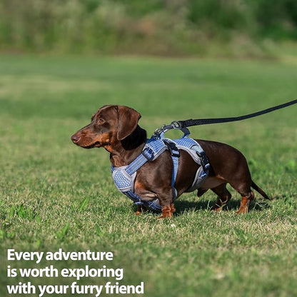 Escape Proof Dog Harness, Dachshund Harness, Reflective Dog Harness with Handle, Durable,Adjustable Vest for Small Medium Large Dogs Walking, Training, and Running Gear (Technicolor Blue,M)