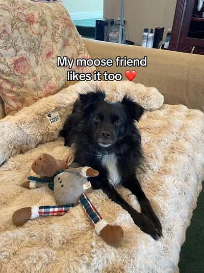FUNNY FUZZY Pet Fluffy Fuzzy Couch Cover, Calming Washable Dog Bed Sofa Protector Pets Mat for Small Medium Dogs and Cats (Coffee,33.45 × 28.35 × 5.51 in)
