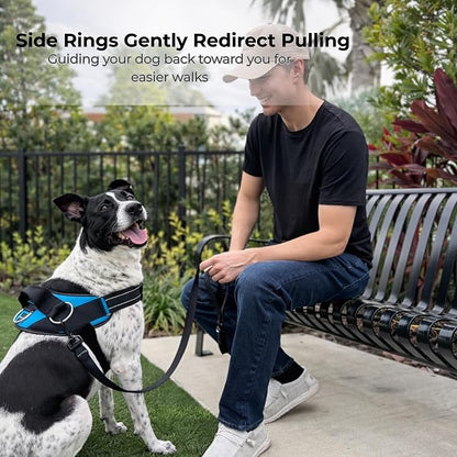 ShawnCo Essential Dog Harness, No-Pull Pet Vest (Electric Blue,L) | 3 Leash Clips, Easy On, No-Choke, Reflective, Adjustable Fit, Padded Comfort, Control Handle, For Small, Medium & Large Dogs