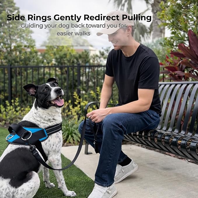 ShawnCo Essential Dog Harness, No-Pull Pet Vest (Driftwood,M) | 3 Leash Clips, Easy On, No-Choke, Reflective, Adjustable Fit, Padded Comfort, Control Handle, For Small, Medium & Large Dogs