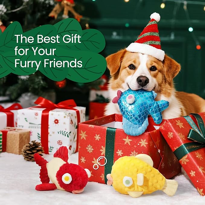 Nocciola Tough Dog Toys, Squeaky Dog Toys to Keep Dogs Busy with Two Resistant Layer & Crinkle Sound, Googly Eyed Fish Gang Puppy Teething Toys for Small, Medium, Large Breeds, 3 Pack