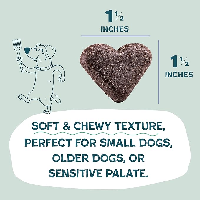Shameless Pets Soft-Baked Dog Treats, Blueberried Treasure - Natural & Healthy Chews with Mint for Immune Support - Dog Biscuits Baked & Made in USA, Free from Grain, Corn & Soy - 1 Pound (Pack of1)