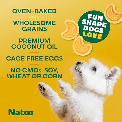 NATOO Biscuits for Small Dogs & Puppies Crunchy Dog Treats, Sweet Potato & Pumpkin Healthy Natural Canine Biscuits, Rich in Omega 6, Prebiotics & Fiber, Antioxidants for Immunity (8 oz)