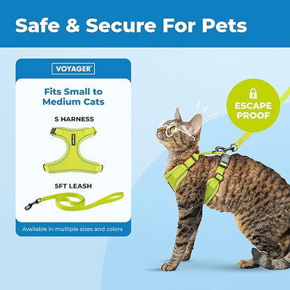 Best Pet Supplies Voyager Escape Proof Cat Harness and Leash Set with Reflective Stitching, Neoprene Handle 5ft - Supports Small, Medium and Large Cats, Kittens - Lime, M (Chest: 16.5-19.5")