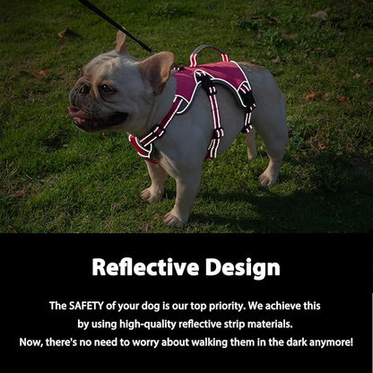 Escape Proof Dog Harness, Dachshund Harness, Reflective Dog Harness with Handle, Durable,Adjustable Vest for Small Medium Large Dogs Walking, Training, and Running Gear (Rose red,M)