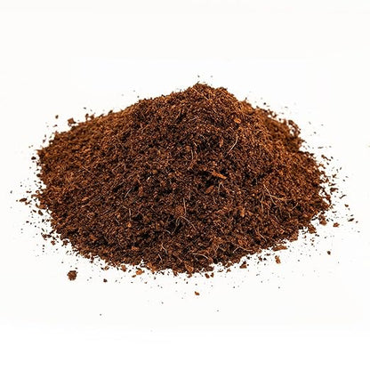 Zoo Med Eco Earth Compressed Coconut Fiber Substrate Reptiles 1 Brick - 3 Pack