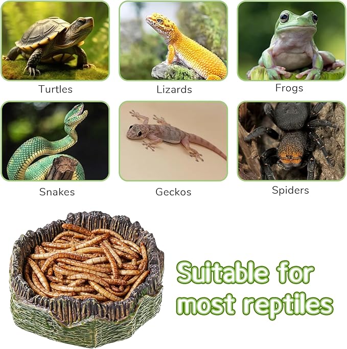 Small Reptile Food Dish, 2 PCS Reptile Water Dish Food Bowl Reptiles Feeding Foods Resin Terrarium Bowl for Bearded Dragon Gecko Frog Snake Chameleon Tortoise