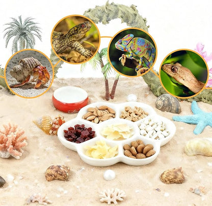 Eiito Reptile Food Bowl,Hermit Crab Lizard Gecko Ceramic Food Dish, 7 Compartments Anti-Turning Bearded Dragon Food & Water Bowl with Small Brush (White)