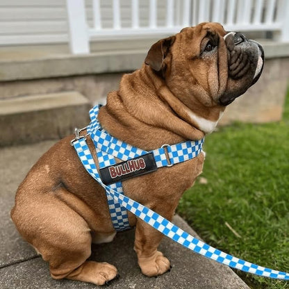 Adjustable Dog Harness– No Pull, No Choke – for English Bulldogs, French Bulldogs, Pugs & Broad-Chested Breeds – Easy, Safe Walks (Blue Checkers, XL)