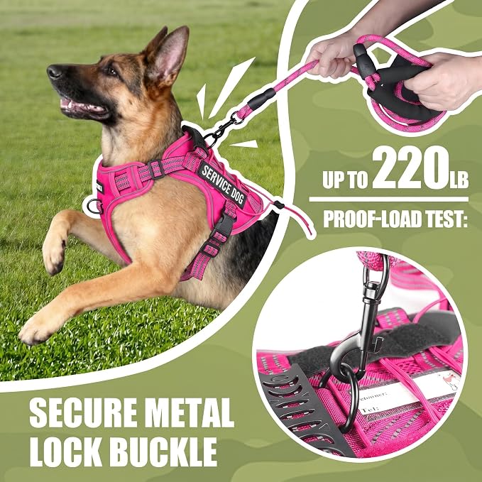 Service Dog Tactical Vest Harness and Leash Set Large Sized Dog Emotional Support- Tactical Dog Harness Training Collar with Name (Rose Red, S)