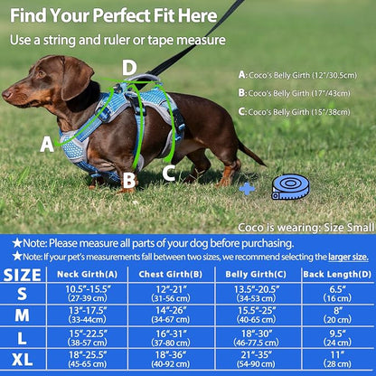 Escape Proof Dog Harness, Dachshund Harness, Reflective Dog Harness with Handle, Durable,Adjustable Vest for Small Medium Large Dogs Walking, Training, and Running Gear (Sea Blue,L)
