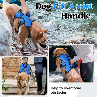 rabbitgoo Escape Proof Dog Harness for Medium, No Pull with Lift Handle | No Escape, Full Soft Padded, Reflective Adjustable Vest, Leash Clip for Walking Hiking Training, Blue, Medium